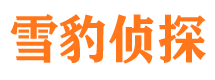 定结市侦探公司